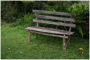 relaxing-bench